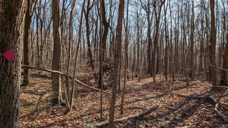 Moore Township Appalachian Park - Bath, PA
