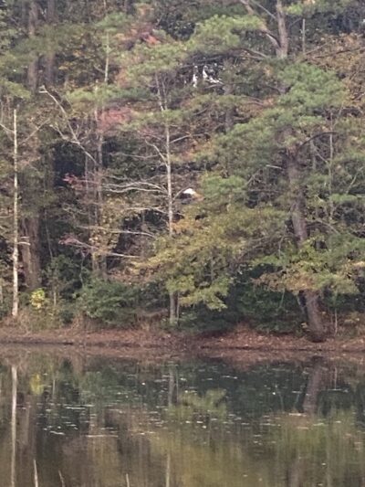 Bay Springs RV Park - Bay Springs, MS