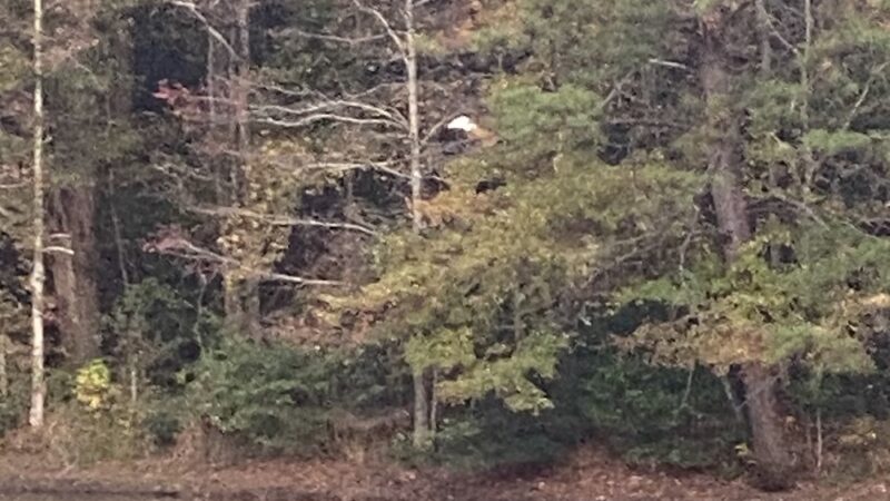 Bay Springs RV Park - Bay Springs, MS