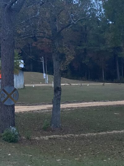 Bay Springs RV Park - Bay Springs, MS