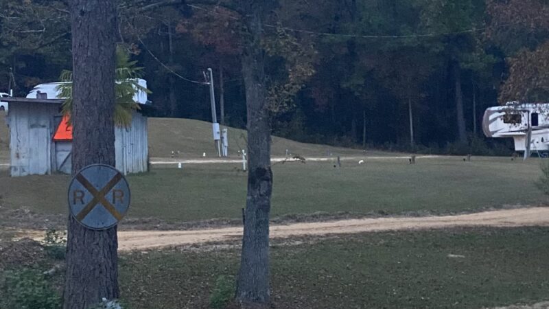 Bay Springs RV Park - Bay Springs, MS