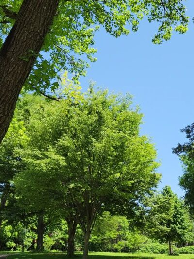 John Golden Park - Bayside, NY