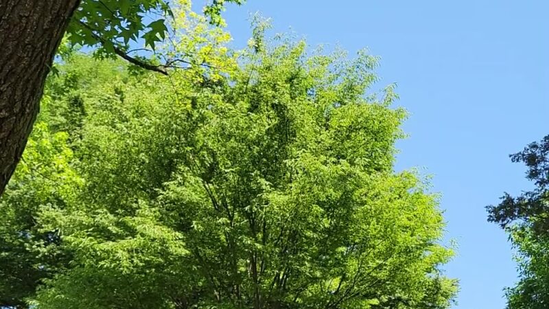 John Golden Park - Bayside, NY