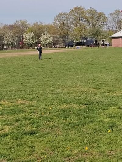 Bayside Fields - Bayside, NY