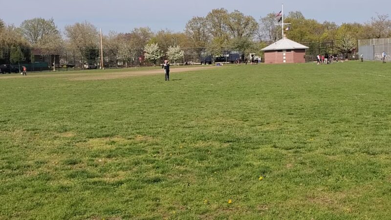 Bayside Fields - Bayside, NY