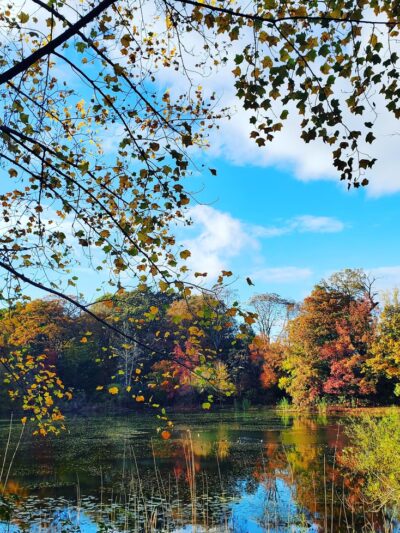 Oakland Gardens Playground - Bayside, NY