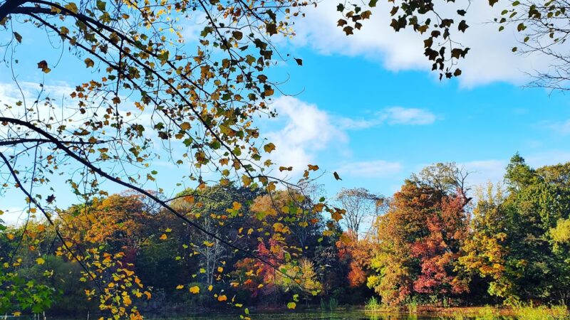 Oakland Gardens Playground - Bayside, NY
