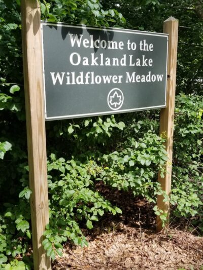Oakland Lake Wildflower Meadow - Bayside, NY
