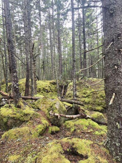 Beals Town Park - Beals, ME