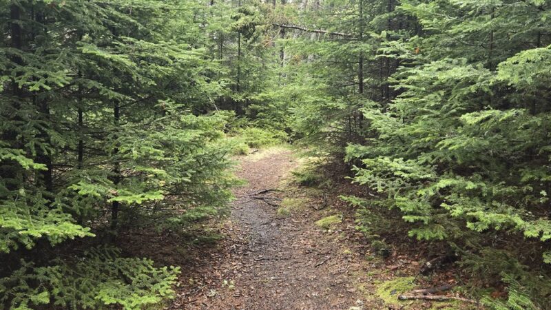 Beals Town Park - Beals, ME