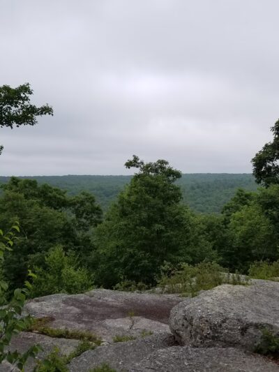 Natural Lands' Bear Creek Preserve - Bear Creek Village, PA