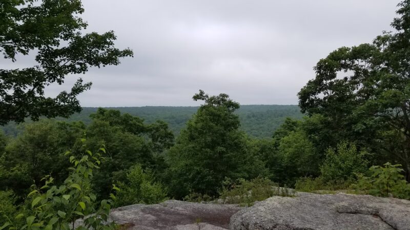 Natural Lands' Bear Creek Preserve - Bear Creek Village, PA