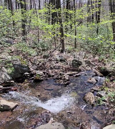 Natural Lands' Bear Creek Preserve - Bear Creek Village, PA