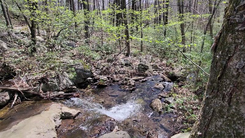 Natural Lands' Bear Creek Preserve - Bear Creek Village, PA