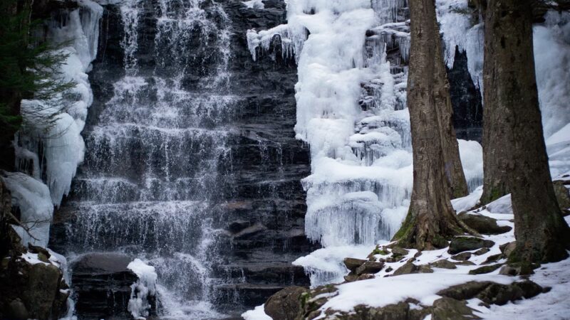 Natural Lands' Bear Creek Preserve - Bear Creek Village, PA