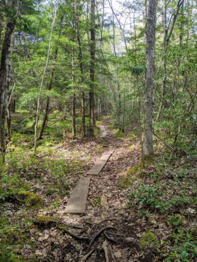 Natural Lands' Bear Creek Preserve - Bear Creek Village, PA