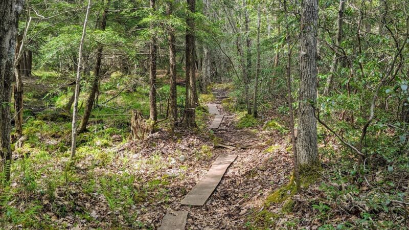 Natural Lands' Bear Creek Preserve - Bear Creek Village, PA