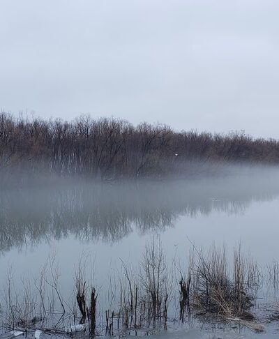 Schmoldt Memorial Park - Beardstown, IL