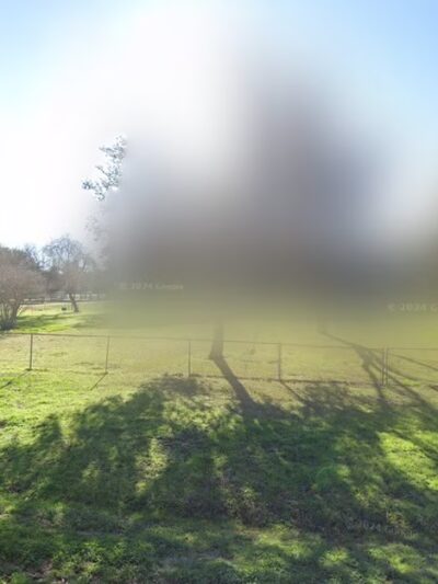 Beasley Park - Beasley, TX