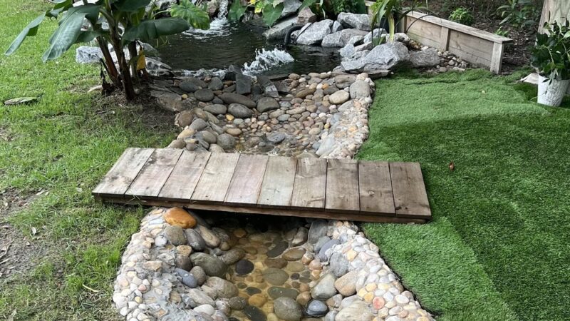 Wet -N -Wags private dog park - Beaufort, SC