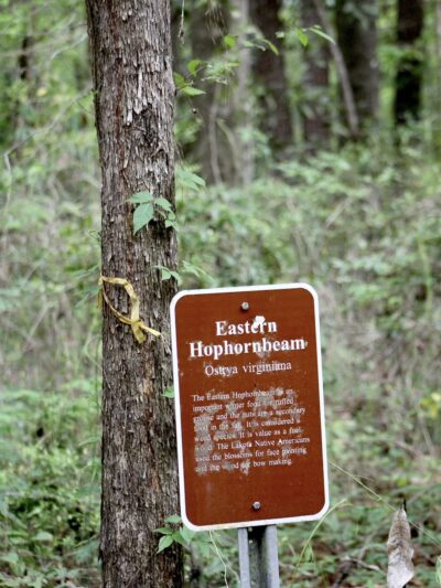 Town of Beaumont Nature Trail - Beaumont, MS