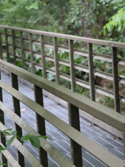 Town of Beaumont Nature Trail - Beaumont, MS