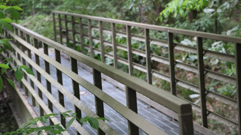 Town of Beaumont Nature Trail - Beaumont, MS