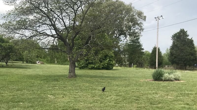 Cromwell Park and Recreation - Beaver Dam, KY