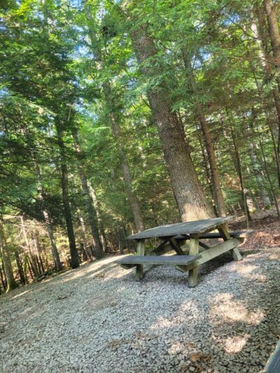 Little Beaver State Park - Beaver, WV
