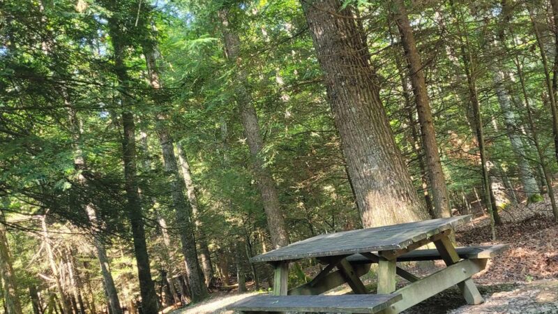 Little Beaver State Park - Beaver, WV