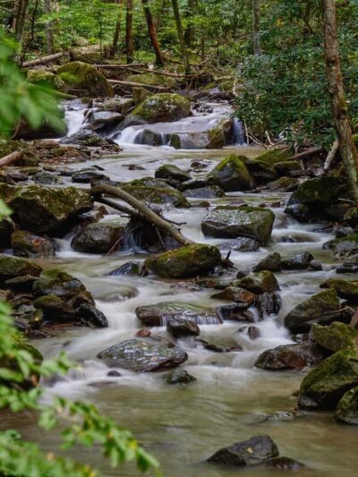 Lower Glade Creek Trailhead - Beaver, WV