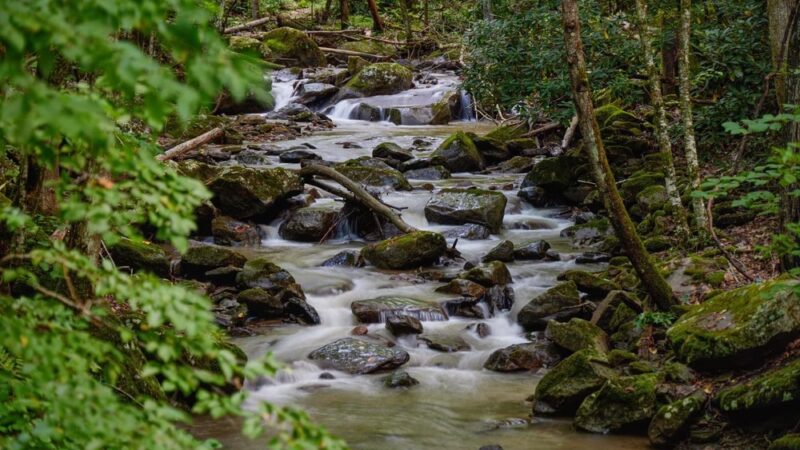 Lower Glade Creek Trailhead - Beaver, WV