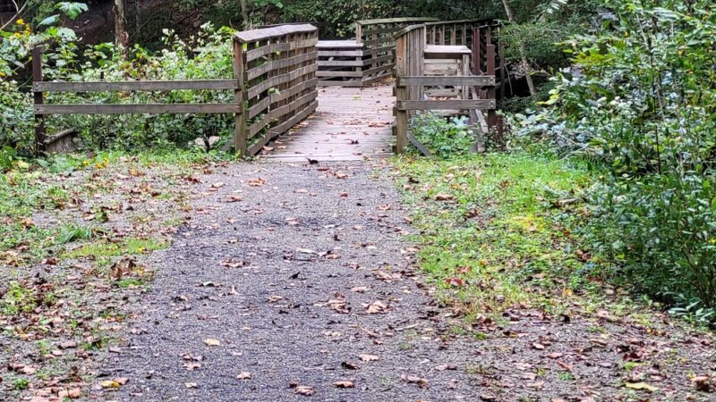 Lower Glade Creek Trailhead - Beaver, WV