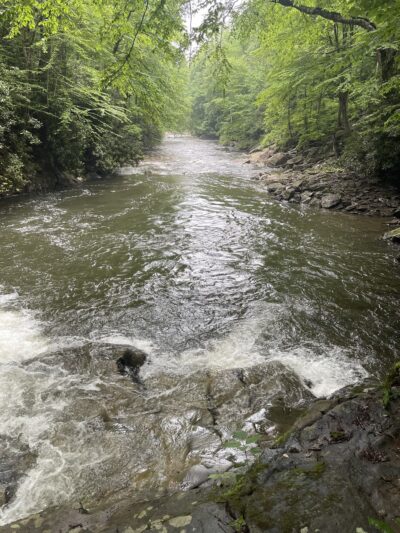 Upper Glade Creek Trailhead - Beaver, WV