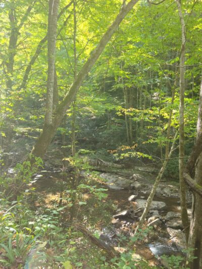 Upper Glade Creek Trailhead - Beaver, WV