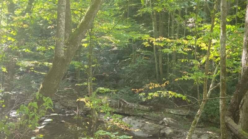 Upper Glade Creek Trailhead - Beaver, WV