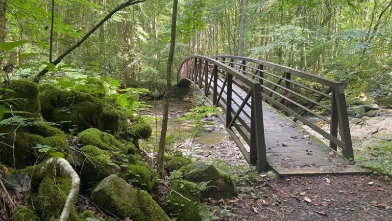 Upper Glade Creek Trailhead - Beaver, WV