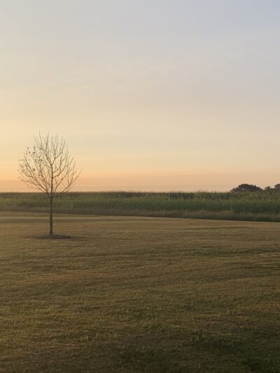 BCDC Park - Beckemeyer, IL