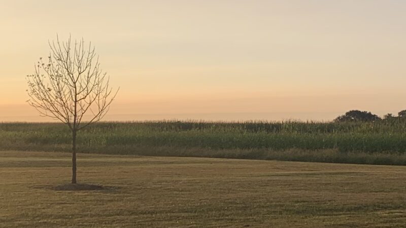 BCDC Park - Beckemeyer, IL