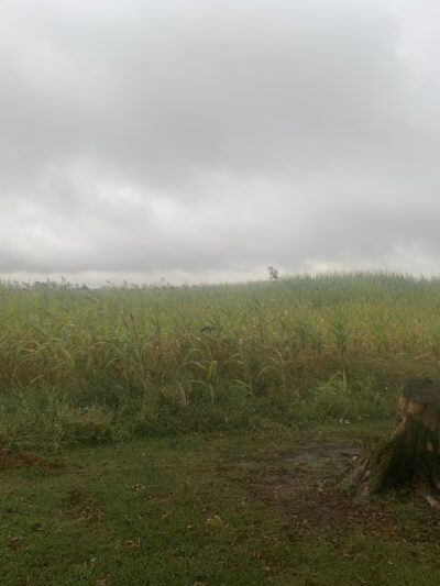 BCDC Park - Beckemeyer, IL