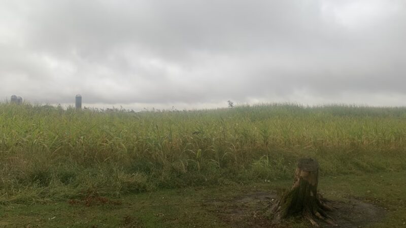 BCDC Park - Beckemeyer, IL