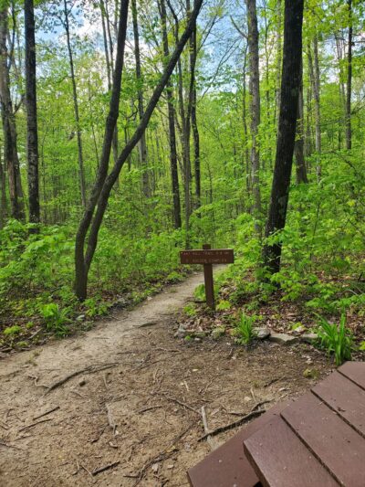 Gray Flats Trail System - Beckley, WV