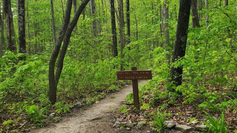 Gray Flats Trail System - Beckley, WV
