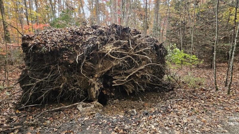 Gray Flats Trail System - Beckley, WV