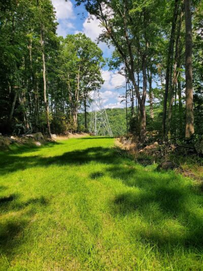 Gray Flats Trail System - Beckley, WV