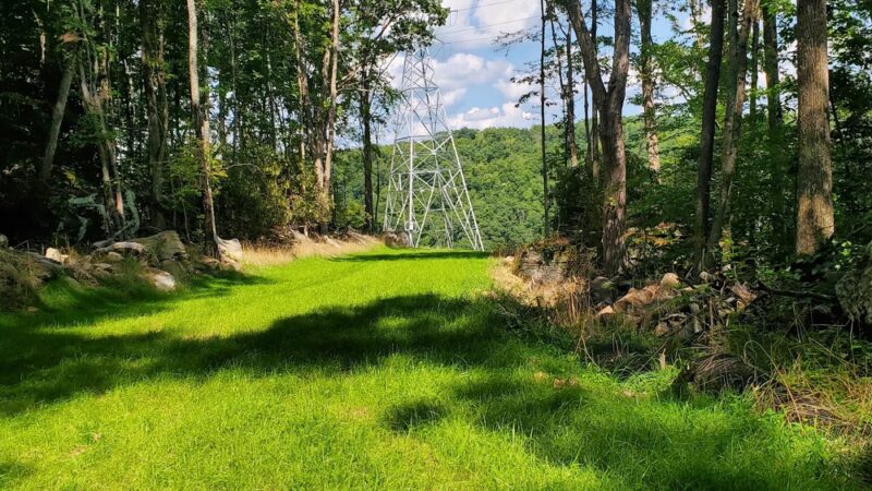 Gray Flats Trail System - Beckley, WV
