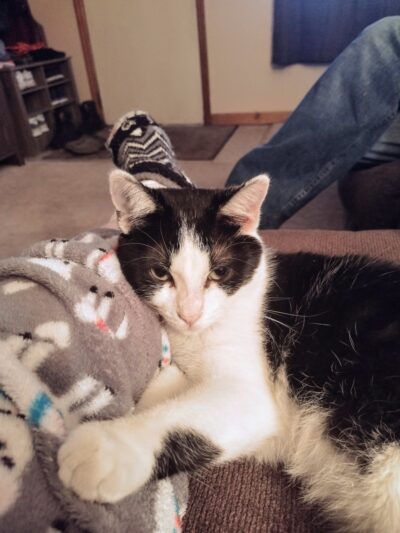 Humane Society of Raleigh County - Beckley, WV