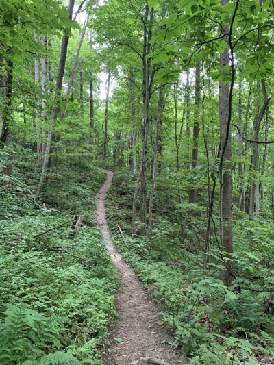 Ship Rock - Beckley, WV