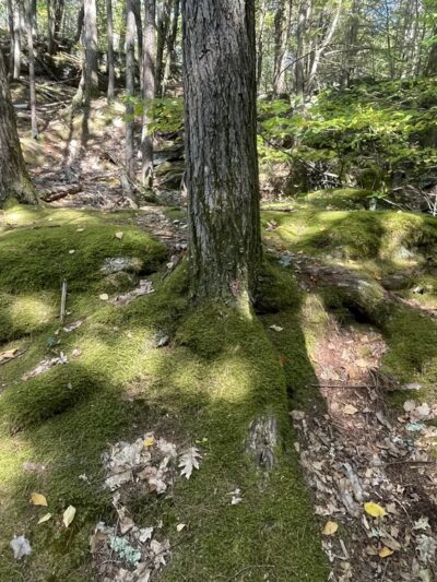 Pulpit Rock - Bedford, NH