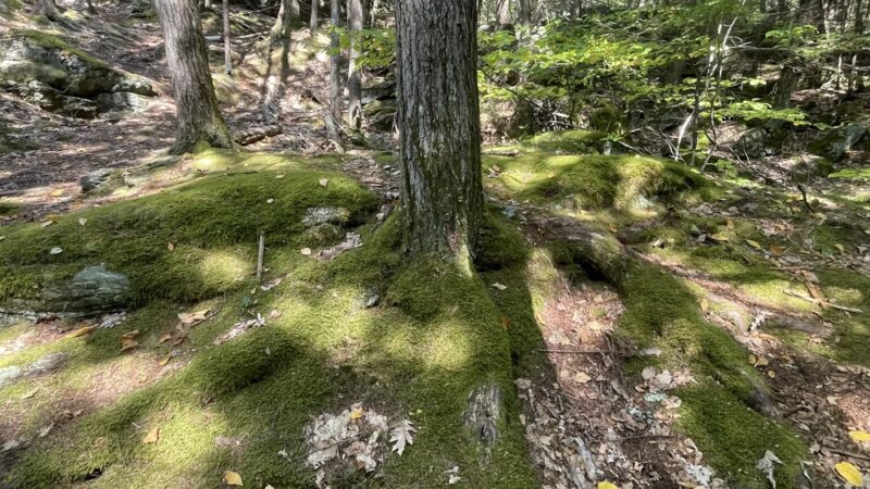 Pulpit Rock - Bedford, NH